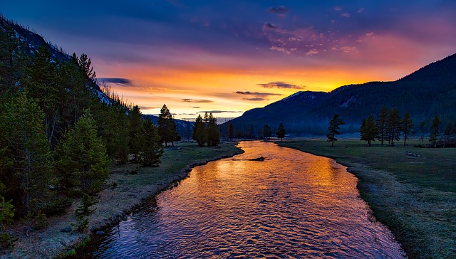 yellowstone national park